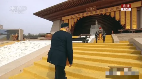 Happy Chick(Ϸģ)v1.8.15 ֻ