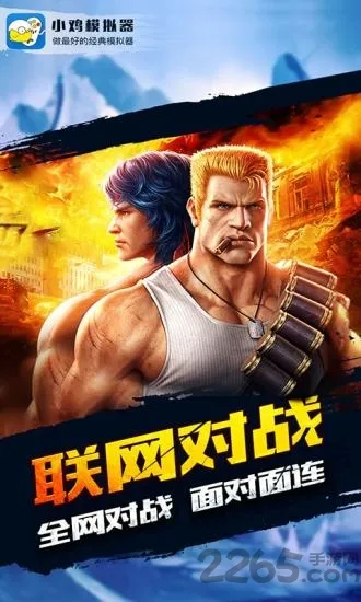 Happy Chick(游戏模拟器) Happy Chick(游戏模拟器)