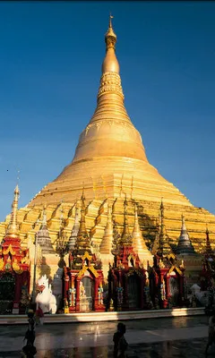 ̩���μ�(̩�ι���)v3.0 �ٷ�����