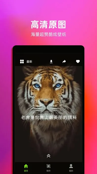 4k��̬��ֽ(��ֽ����)v1.6 �ٷ�����