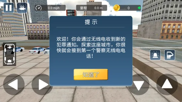 警车闪电追击(警车驾驶游) 警车闪电追击(警车驾驶游)