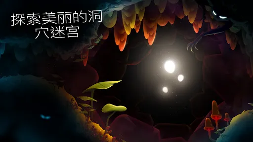 shine֮2025ذװv1.41 ٷ