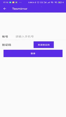 Tesmirror(˹Ͷ)v1.0.13_release ֻ