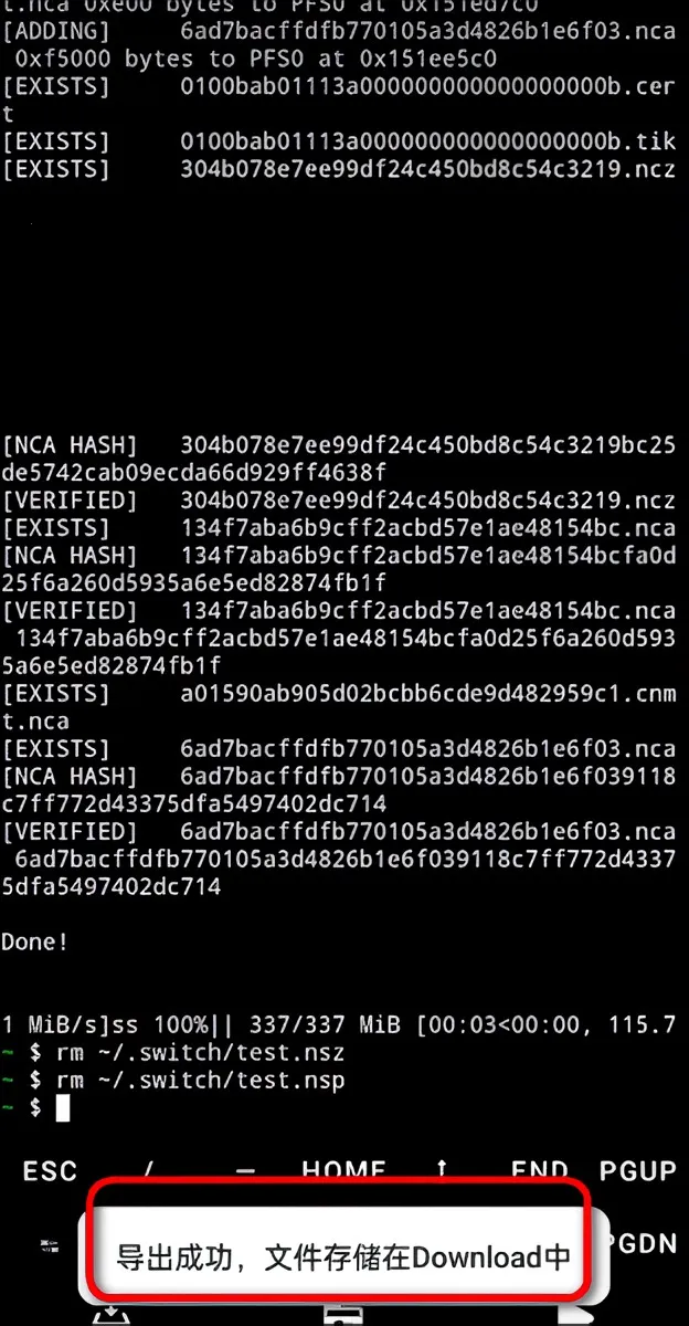 NSC(��Ϸ��ʽת��)