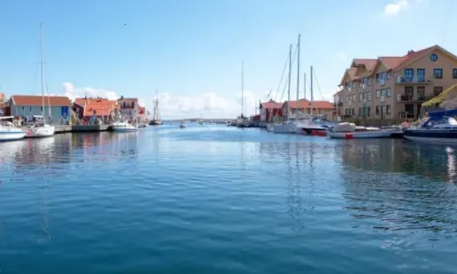 ������ֽ�����ֻ���