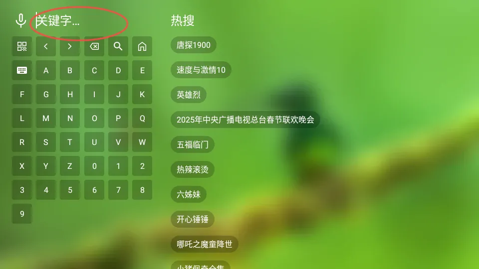 宝全视界2025官方正版 宝全视界2025官方正版