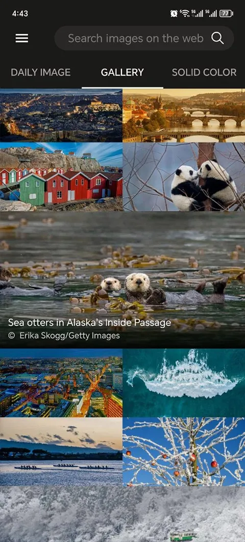 ��Ӧ��ֽ(��ֽ��Դ����)