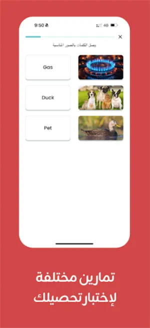 Taleek��Ƶ�γ�2025�ٷ�����