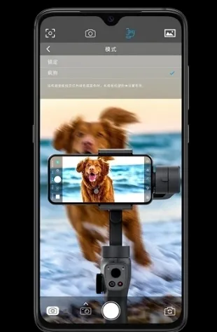 Capture2(�����������)