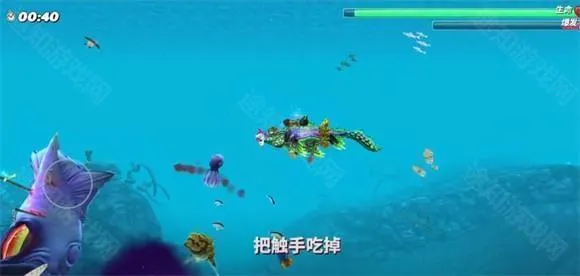 hungrysharkworld(����ð����Ϸ)