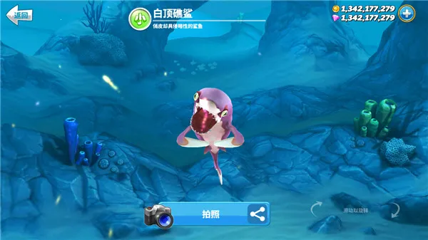 hungrysharkworld(����ð����Ϸ)v6.6.1 ��׿��