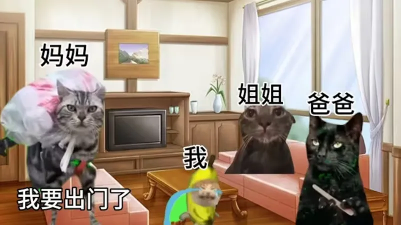 �ֲ�èè���������ֻ���v1.0 �ֻ���