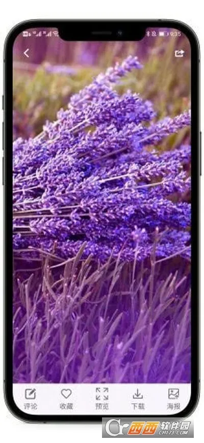 ��Ҷ��ֽ(�ֻ���ֽ����)