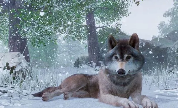 ����԰֮������ͬ(����԰��Ӫ��Ϸ)v0.10 �ٷ�����