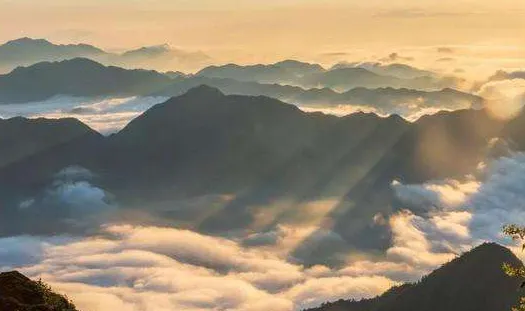 ���Ĺ���(�������ƽ̨)