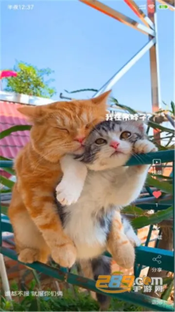 ������Ƶ��ֽ��׿���ֻ���v4.1.4 ��׿��