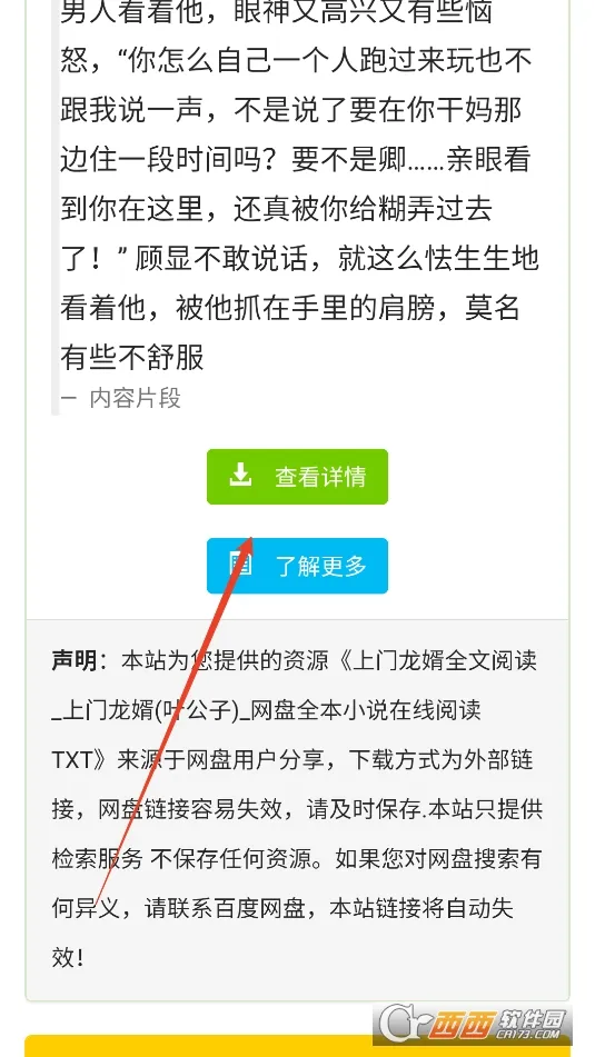 ƤС��2025�ٷ����°汾