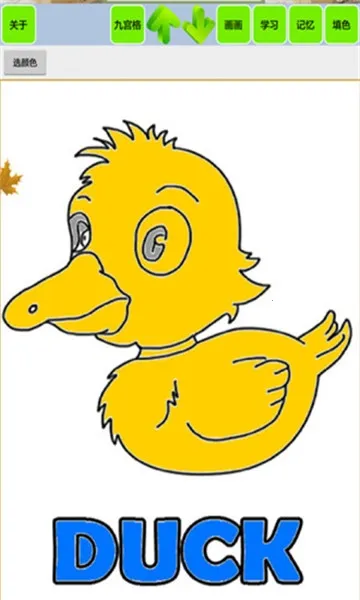 ����ʶ������������2025���°汾