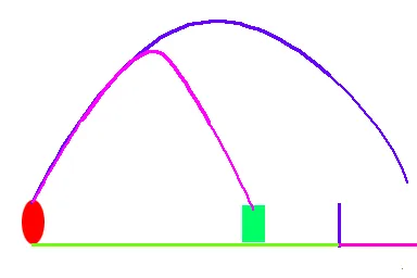 ʵ����������