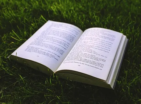 �ᰮ�Ķ�(С˵�Ķ�����)