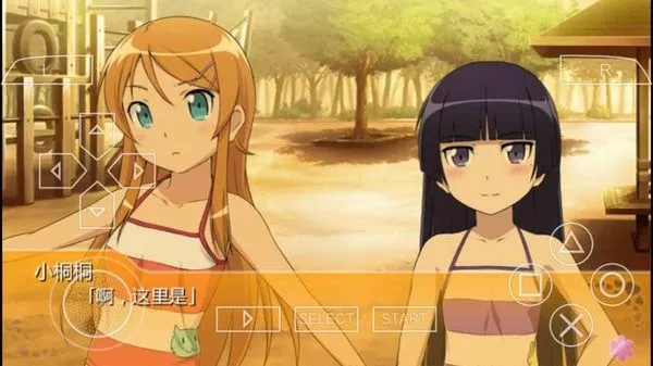 �ҵ����ò�������ô�ɰ�2psp2026���°汾