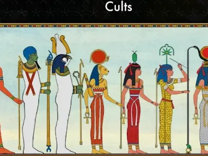 �����Ź������ֻ���