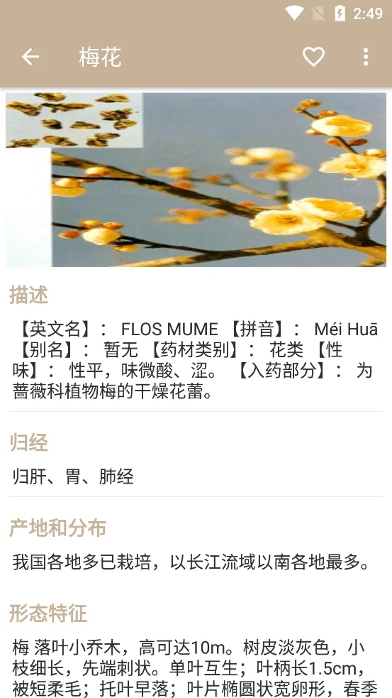 �в�ҩ����2026�ٷ�����v2.7 ��Ѱ�