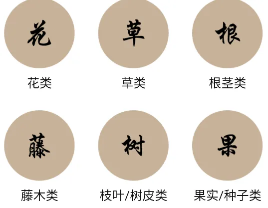 中草药宝典2026官方正版 中草药宝典2026官方正版