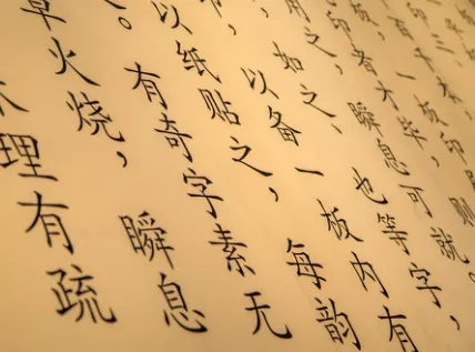 ����2026���°汾