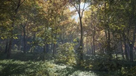 ����Ұ�Եĺ���2026���ذ�װ