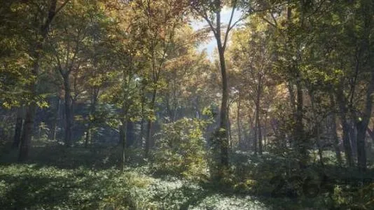 ����Ұ�Եĺ���2026���ذ�װv1.5 ��Ѱ�