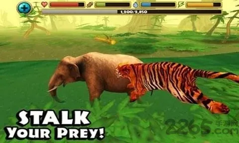 ����ģ����2026���ذ�װv1.3.4 �ٷ�����