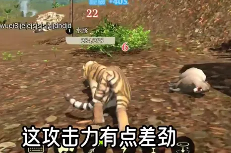 ����ģ����2026���ذ�װ