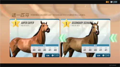 Horse Racing
