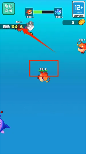 ����С������