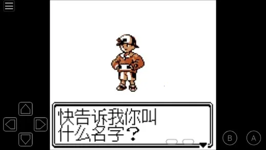 �ڴ�������