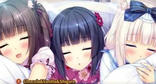 SAYORIv1.0.0.0 �ֻ���