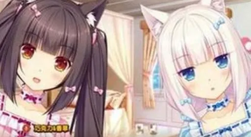 SAYORIv1.0.0.0 �ֻ���