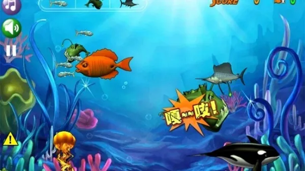 �����С������