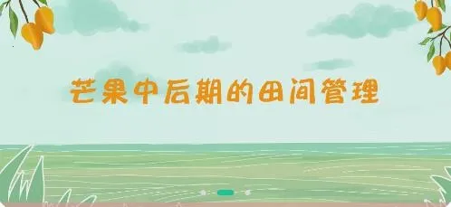 ����ҹУ��׿���ֻ���