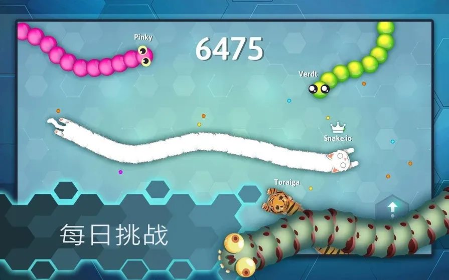 ̰����v6.19.1 �ֻ���