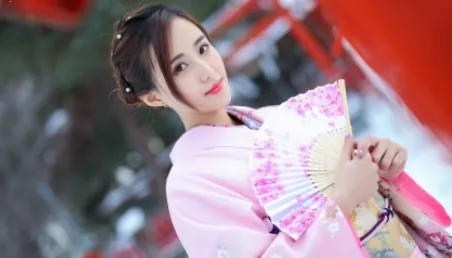 ������2026���°汾