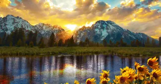 ··ͨ2026�ٷ�����