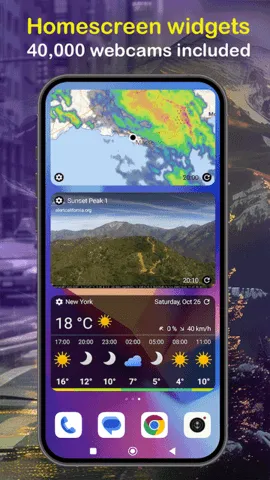 Ventusky2026���°汾v36.2 ��׿��