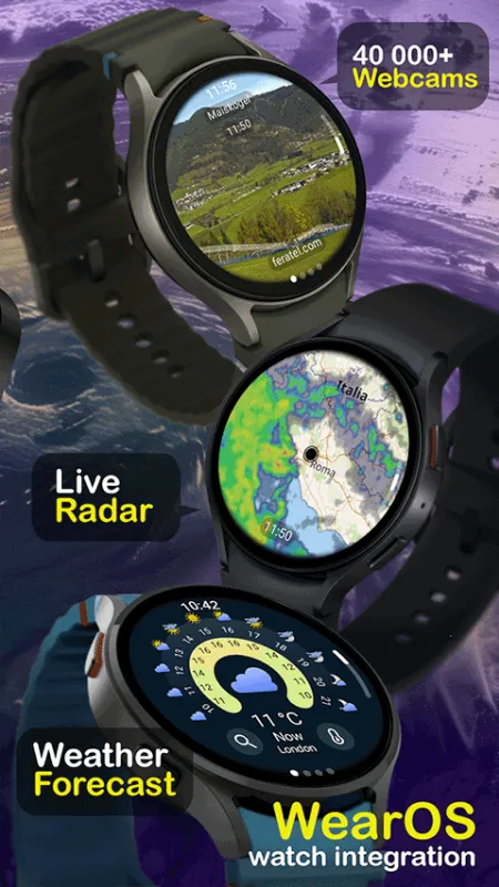 Ventusky2026���°汾v36.2 ��׿��