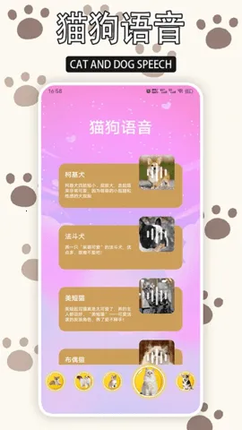 ����èv1.9 �ֻ���