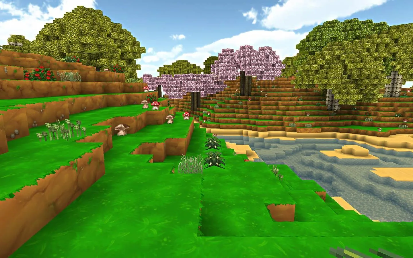 ��������2026�ٷ�����v3.0.13 ��׿��