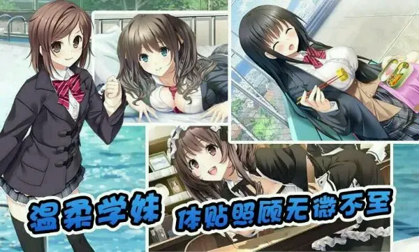 ��椴���22026�ٷ�����v1.5 ��Ѱ�