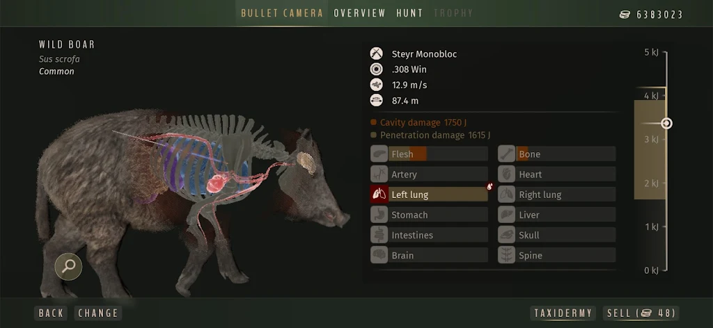 ����֮·����Ұŷ��2026�ٷ�����v1.0.12 �ٷ�����