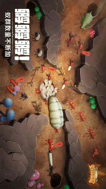 ���������ƽ���ڹ��ƽ��v1.1933.0 �ֻ���